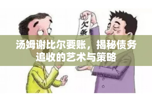 汤姆谢比尔要账，揭秘债务追收的艺术与策略