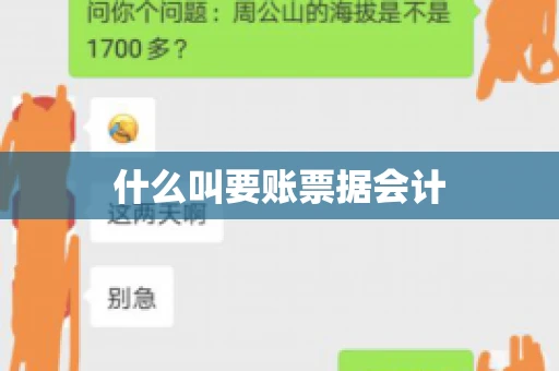 什么叫要账票据会计