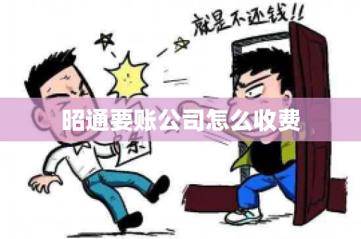 昭通要账公司怎么收费