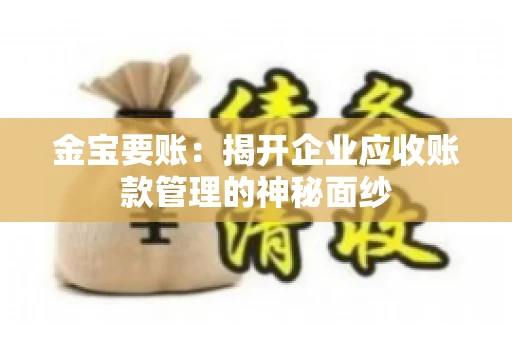 金宝要账：揭开企业应收账款管理的神秘面纱